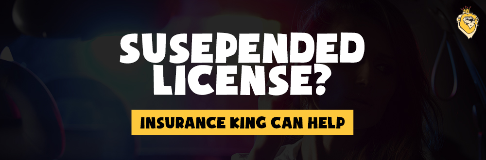 Insurance King - SR22